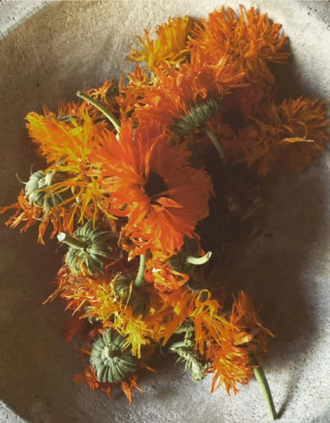 LEPAAR Calendula Myrrh Compositum / Olej na jizvy a poranění 15 ml