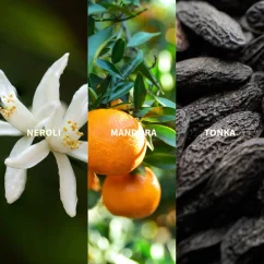 Fiilit MAZHAR - ATLAS Perfume