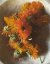 LEPAAR Calendula Myrrh Compositum / Olej na jizvy a poranění 15 ml