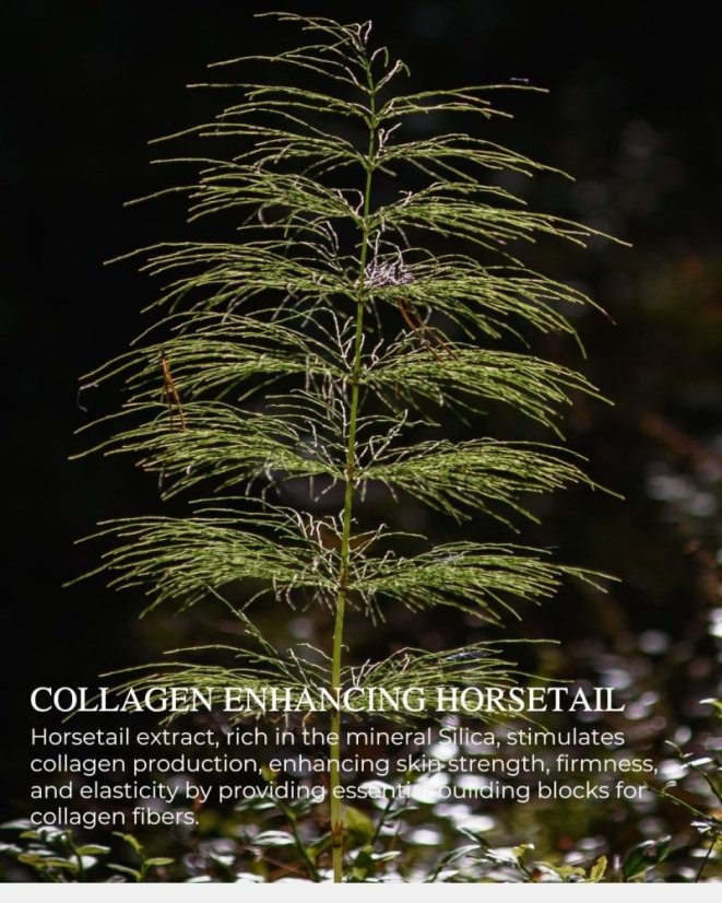 Chatelier CRÈME DÉFENSE™