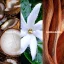 Fiilit TEHANI - POLYNESIA Eau de Parfum
