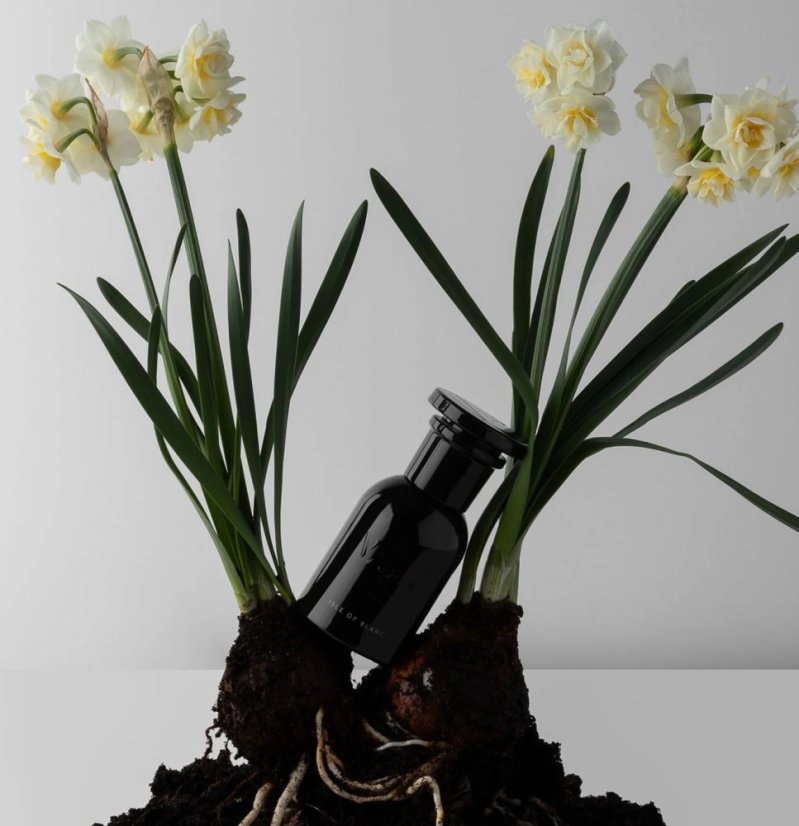 VAHY Isle of Blanc Perfume