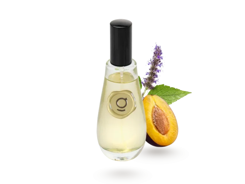 GODA Bytový parfém Grud švestka & pačule 100ml