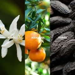 Fiilit MAZHAR - ATLAS Perfume