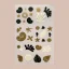 Barriere Travel Well Vitamin Patch - Tamaño: 6 pcs