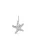 SEA STAR CHARM SILVER