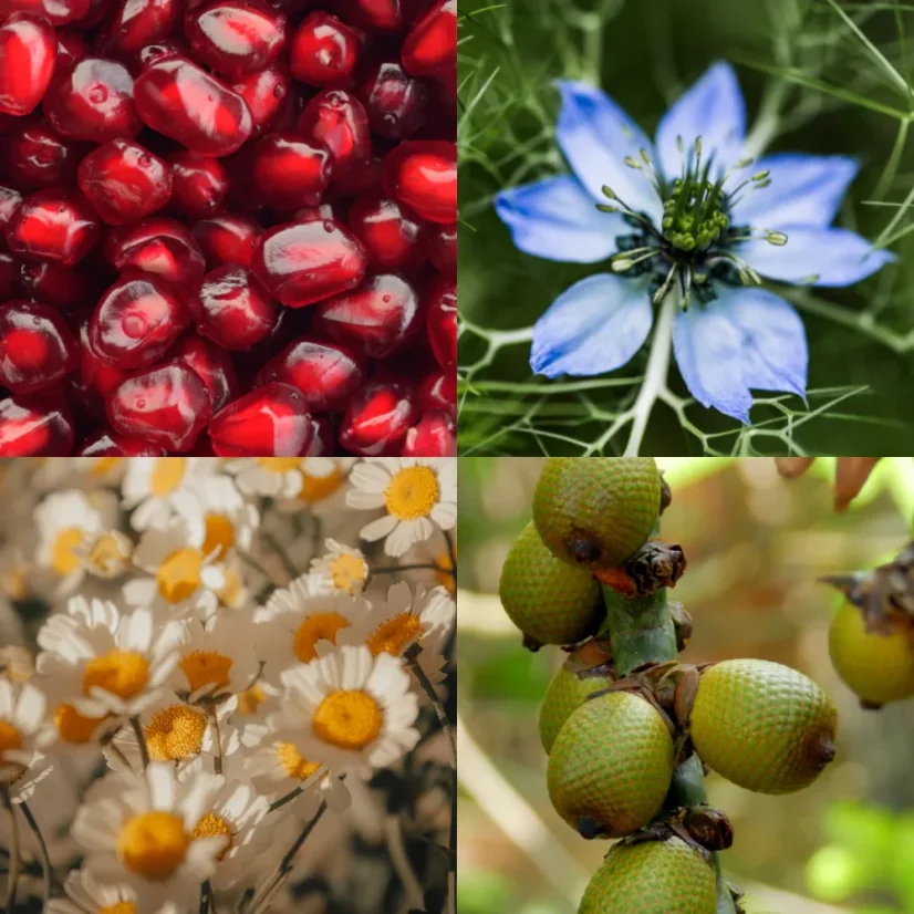 THE OTHER Plant Voodoo Čisticí koncentrát pro dehydratovanou problematickou pleť