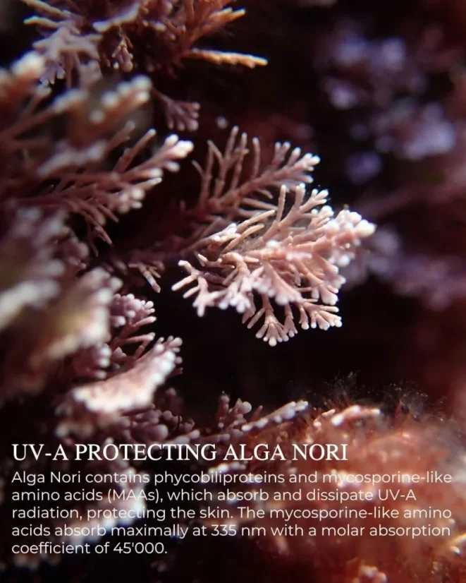 Chatelier CRÈME DÉFENSE™