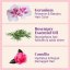 The POWDER SHAMPOO Nourishing Repair Conditioner For Thick, Damaged & Frizzy Hair Geranium & Rosemary