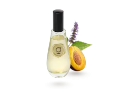 GODA Bytový parfém Grud švestka & pačule 100ml