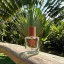 Fiilit WAKA - MADAGASCAR Eau de Parfum