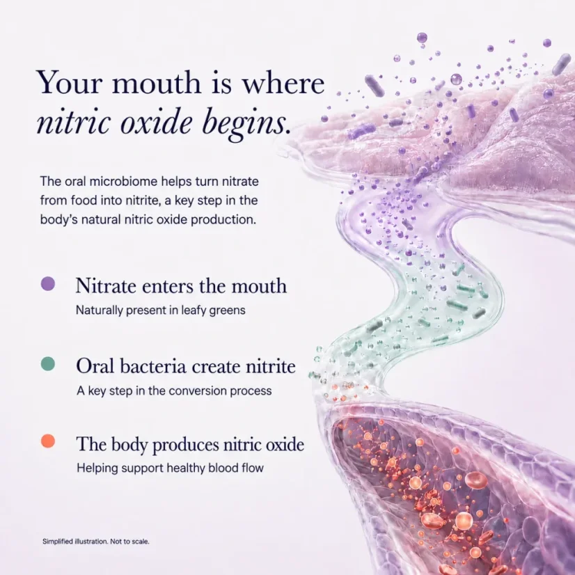 FYGG Zubní pasta s nano hydroxyapatitem a prebiotiky Wild Mint 113g