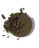 Sage Smudge - Grey Sage Green With Gold Shimmer