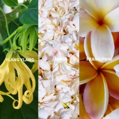 Fiilit SURYA - BALI Eau de Parfum