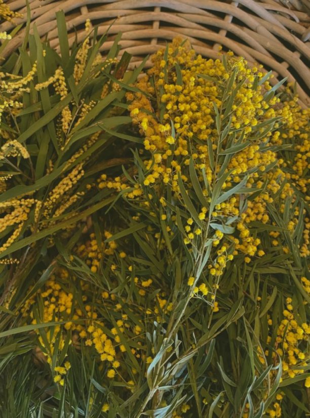 LEPAAR Revive Deep Cleansing Oil / čisticí detoxikační olej na pleť 100 ml