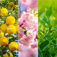 Fiilit KADO - JAPON Eau de Parfum