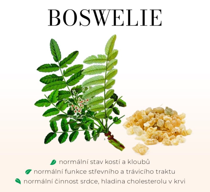 GREEN IDEA AcneGreen Tobolky 90kpsl