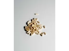 ORGANIC OASIS LAB Probio WomanTherapy 60 capsules