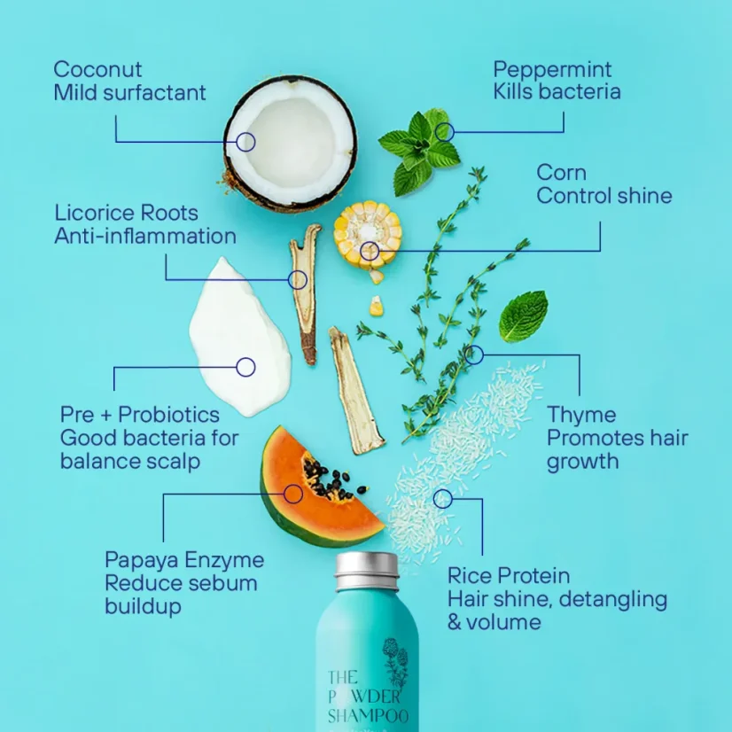 The POWDER SHAMPOO Purifying Shampoo For Oily Scalp & Limp Hair