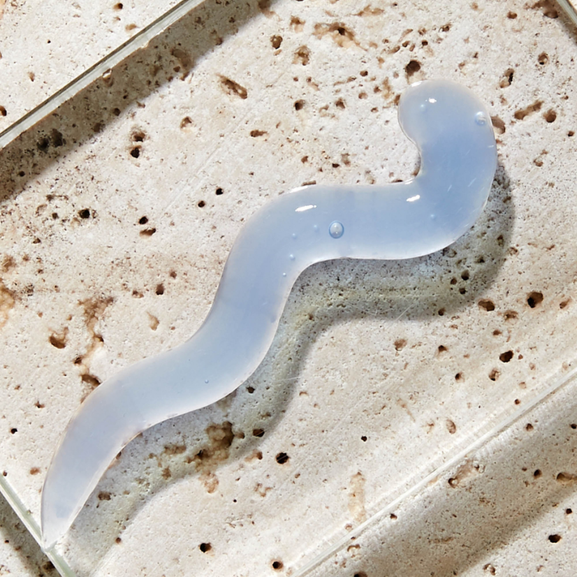 ABSOLUTION Mask Le Masque Anti-Soif Hydratant Absolution 50ml