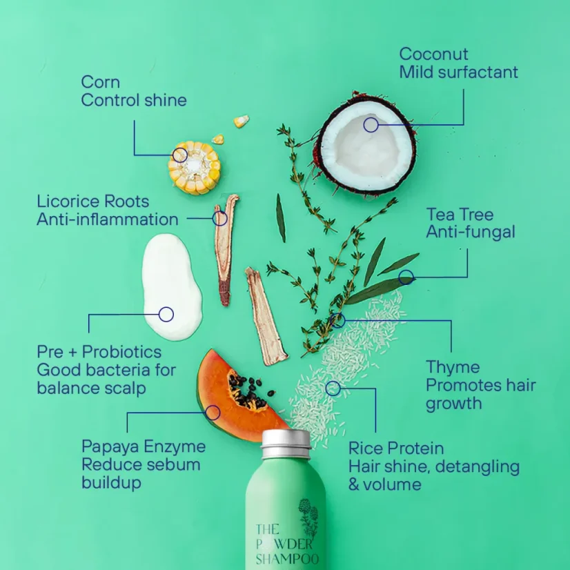 The POWDER SHAMPOO Exfoliating Shampoo For Loose Dandruff Flakes