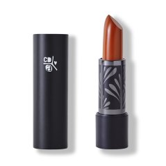 Lipstick sorbet Christophe Danchaud Absolution 3,5g
