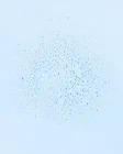 Toners, mists and essences