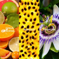 Fiilit SAUDADE - AMAZONIA Eau de Parfum