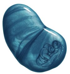 HUELLA Lak na nehty “Little Bold Blue”