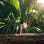 Fiilit WAKA - MADAGASCAR Eau de Parfum