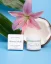 Earth Harbor MERMAID MILK Nutrient Glow Moisturizer