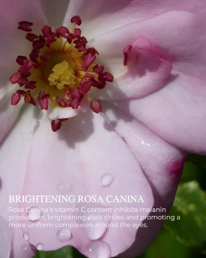 Chatelier EYE LIFT™ - Velikost: 30ml