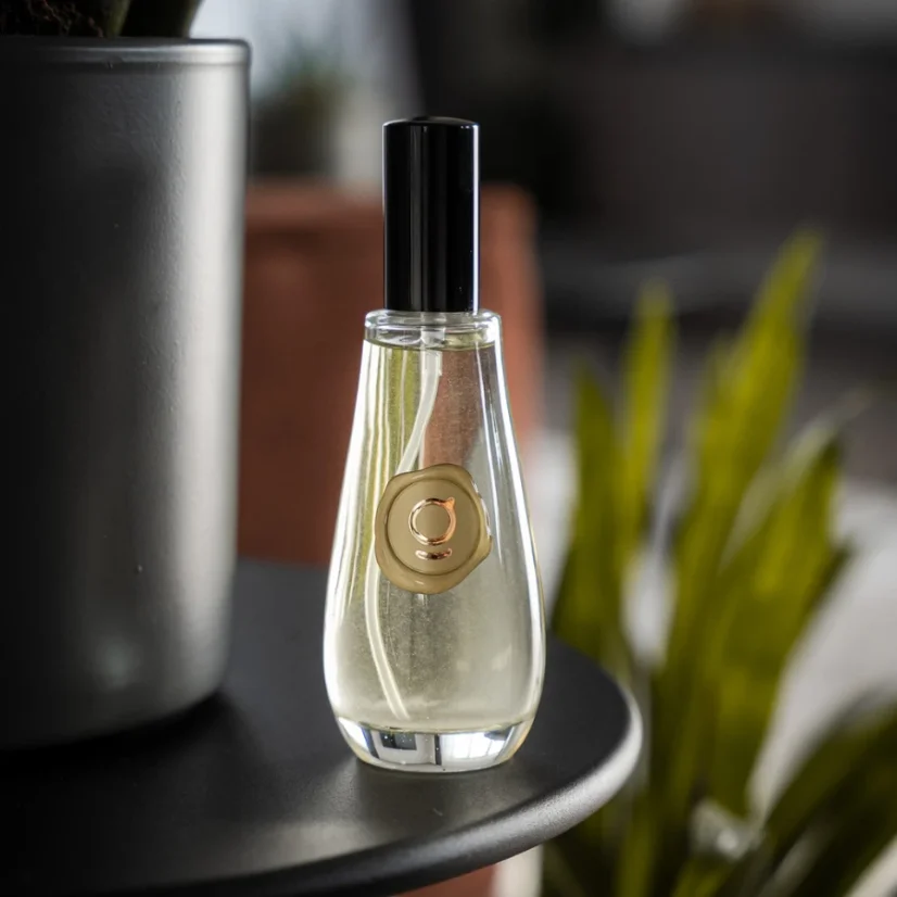 GODA Bytový parfém Gerna pomelo & šampaňské 100ml