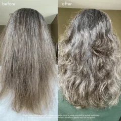 MAYA CHIA Power Fol Conditioner 266ml