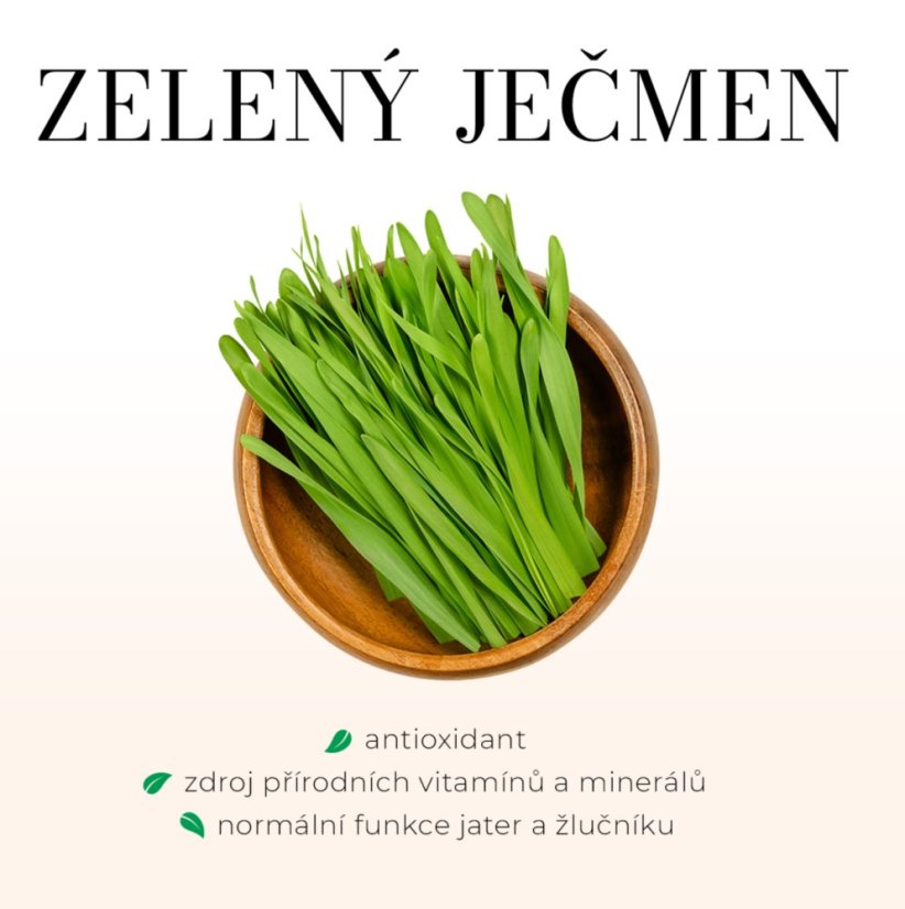 TOPVET Premium DETOXIKACE + JÁTRA 30kpsl