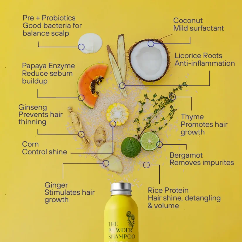 The POWDER SHAMPOO Invigorating Shampoo For Thinning & Ageing Hair