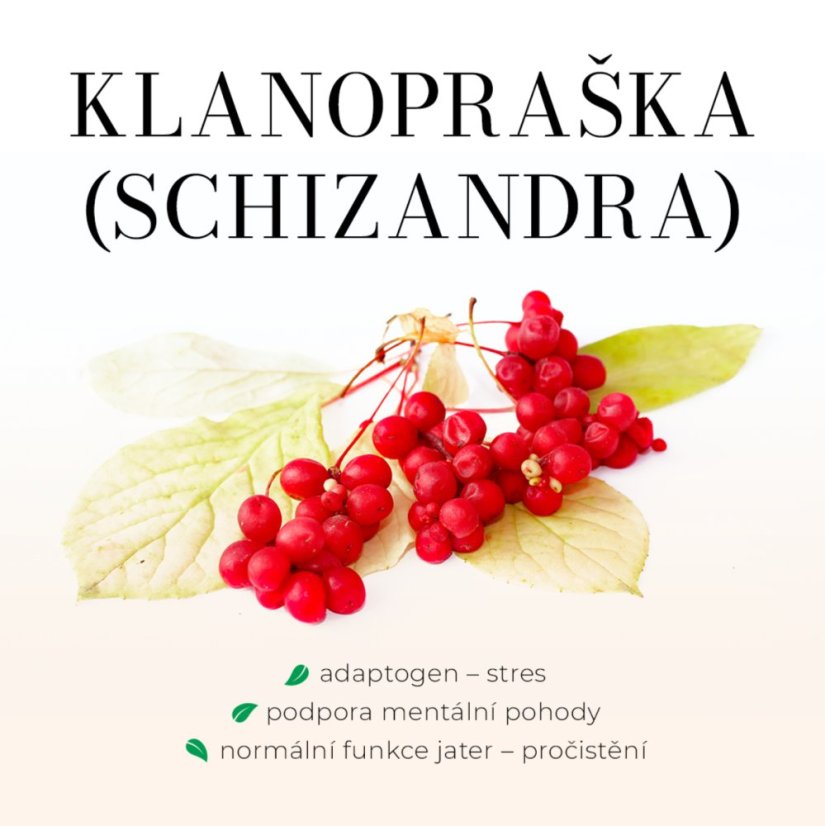 TOPVET Premium DETOXIKACE + JÁTRA 30kpsl