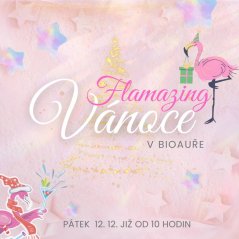Flamazing VÁNOCE v Bioauře v pátek 12. prosince 10 - 19hodin