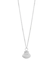 NO MORE SEA SHELL NECKLACE SILVER