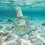 Fiilit TEHANI - POLYNESIA Eau de Parfum