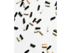 ORGANIC OASIS LAB Microbiome Therapy 60 capsules