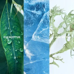 Fiilit ICE - BOREAL Eau de Parfum