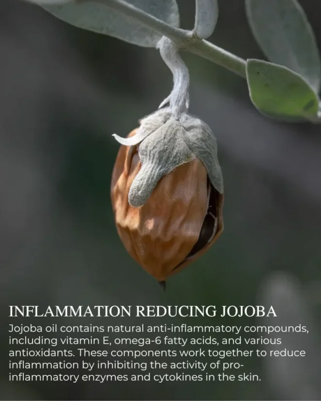 Chatelier SOFT COMPLEXION™