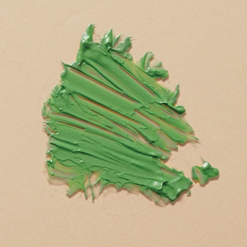 Oczyszczająca maska ​​do twarzy Le Masque Pureté Détoxifiant Absolution 50ml