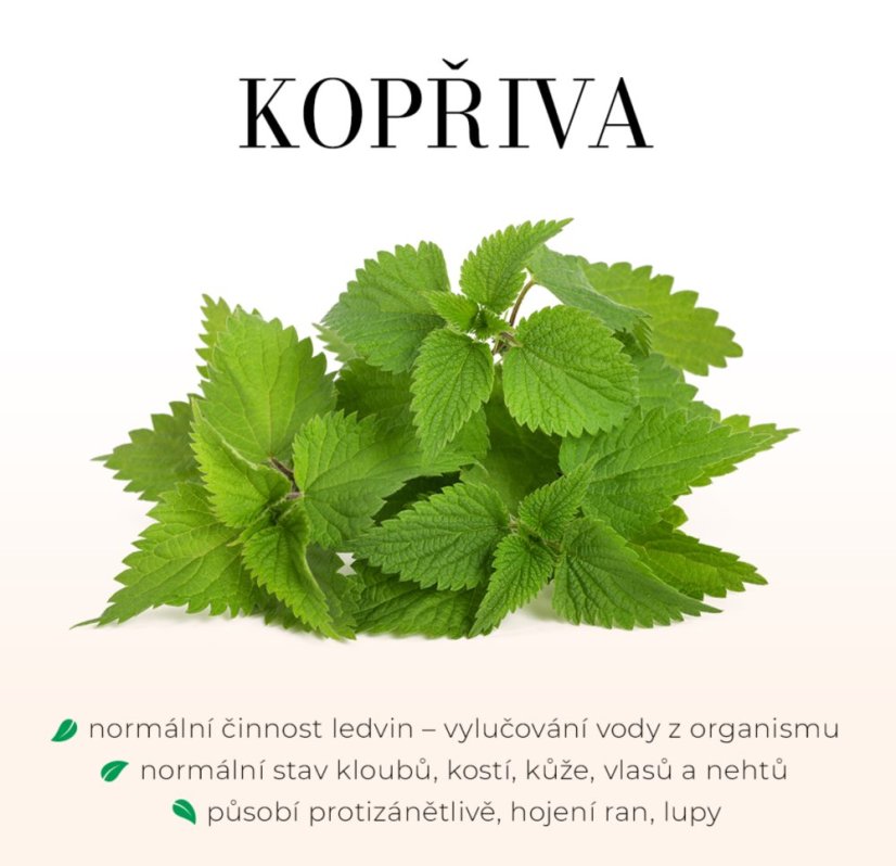 GREEN IDEA AcneGreen Tobolky 90kpsl